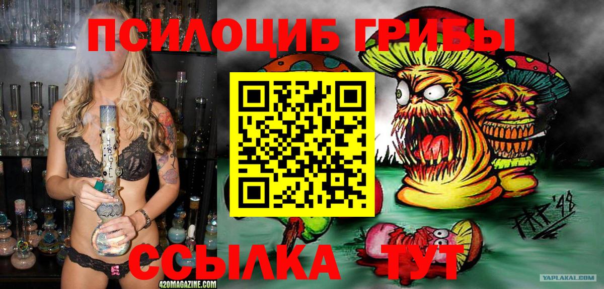 Великие Луки  Псилоцибиновые грибы Magic Shrooms  Вход с VPN 